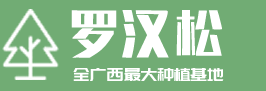 罗汉松广西种植基地网